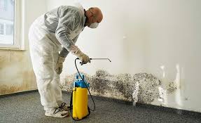 Best Mold Removal for HVAC Installations  in Rm Beach, WA